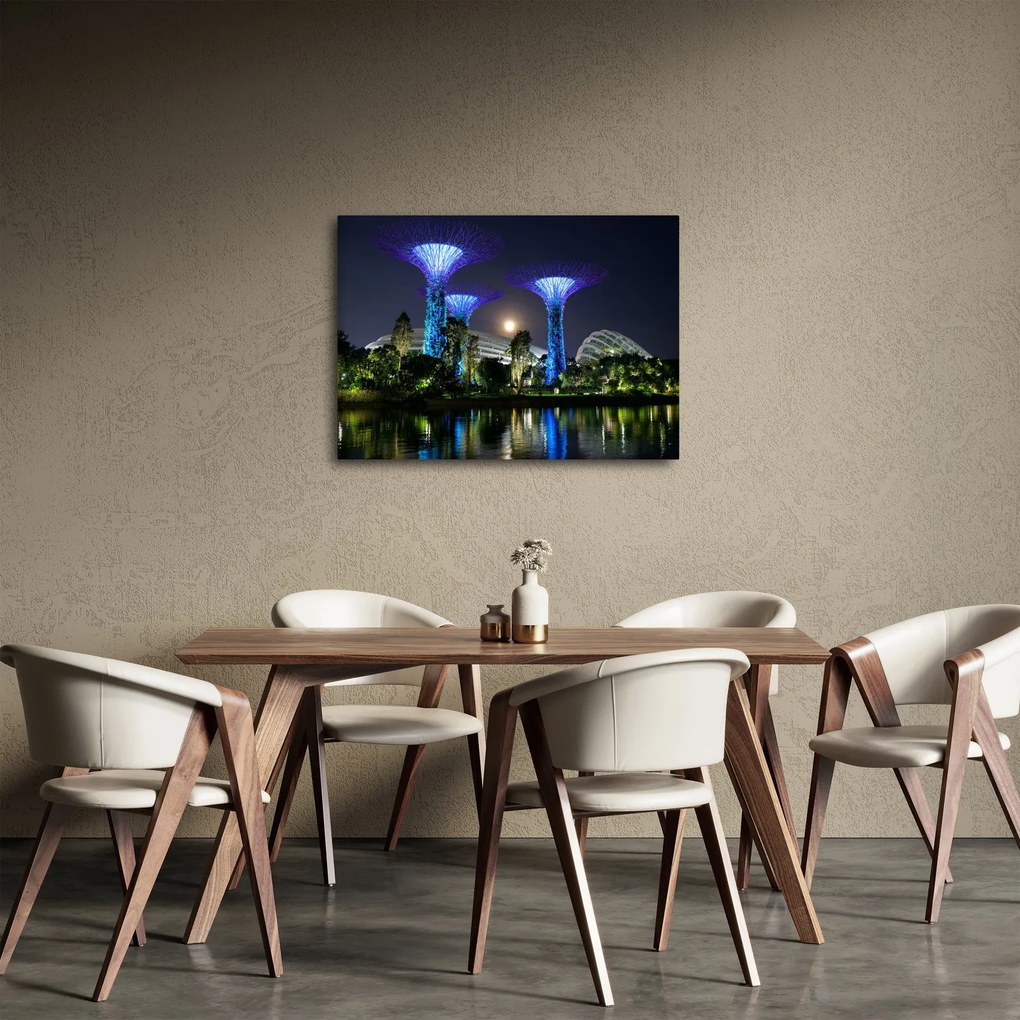 Obraz przedstawiający pełnię księżyca w ogrodach Singapuru (70x50 cm)