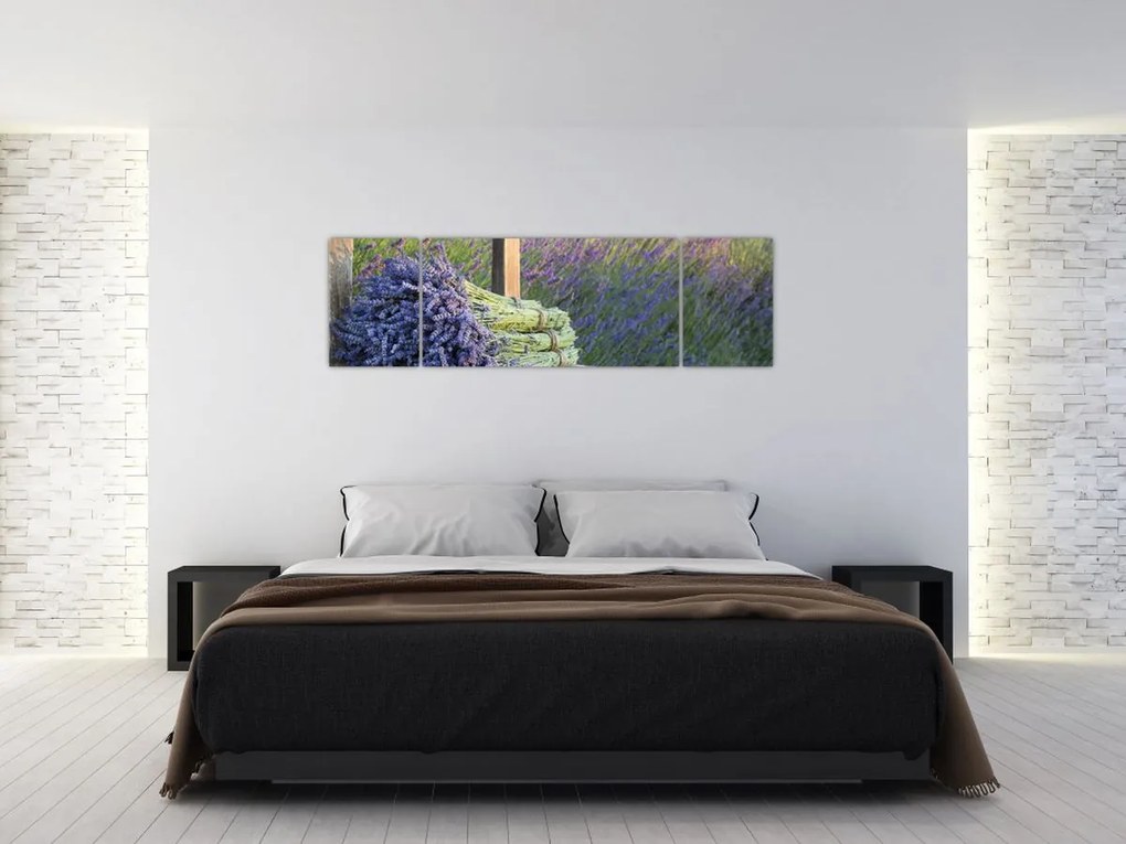 Obraz - Pęczki lawendy (170x50 cm)
