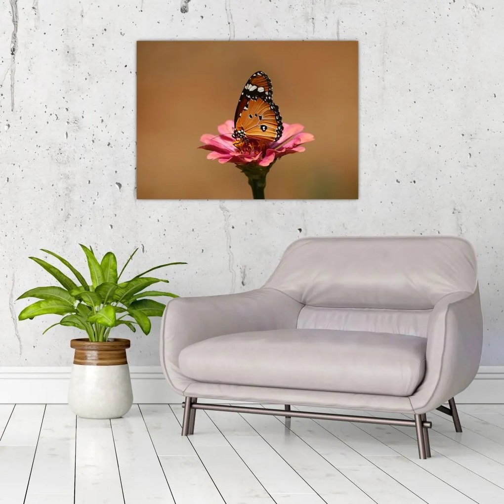 Obraz na szkle - motyl na kwiatku (70x50 cm)