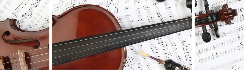 Obraz - Instrumenty muzyczne (170x50 cm)