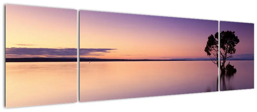Obraz powierzchni wody o wschodzie słońca (170x50 cm)