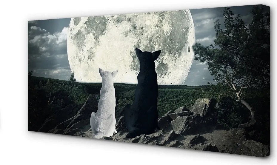 Obraz na płótnie Wataha Wilków przy Pełni Księżyca