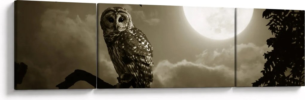 Obraz - Nocna sowa, złoty (170x50 cm)