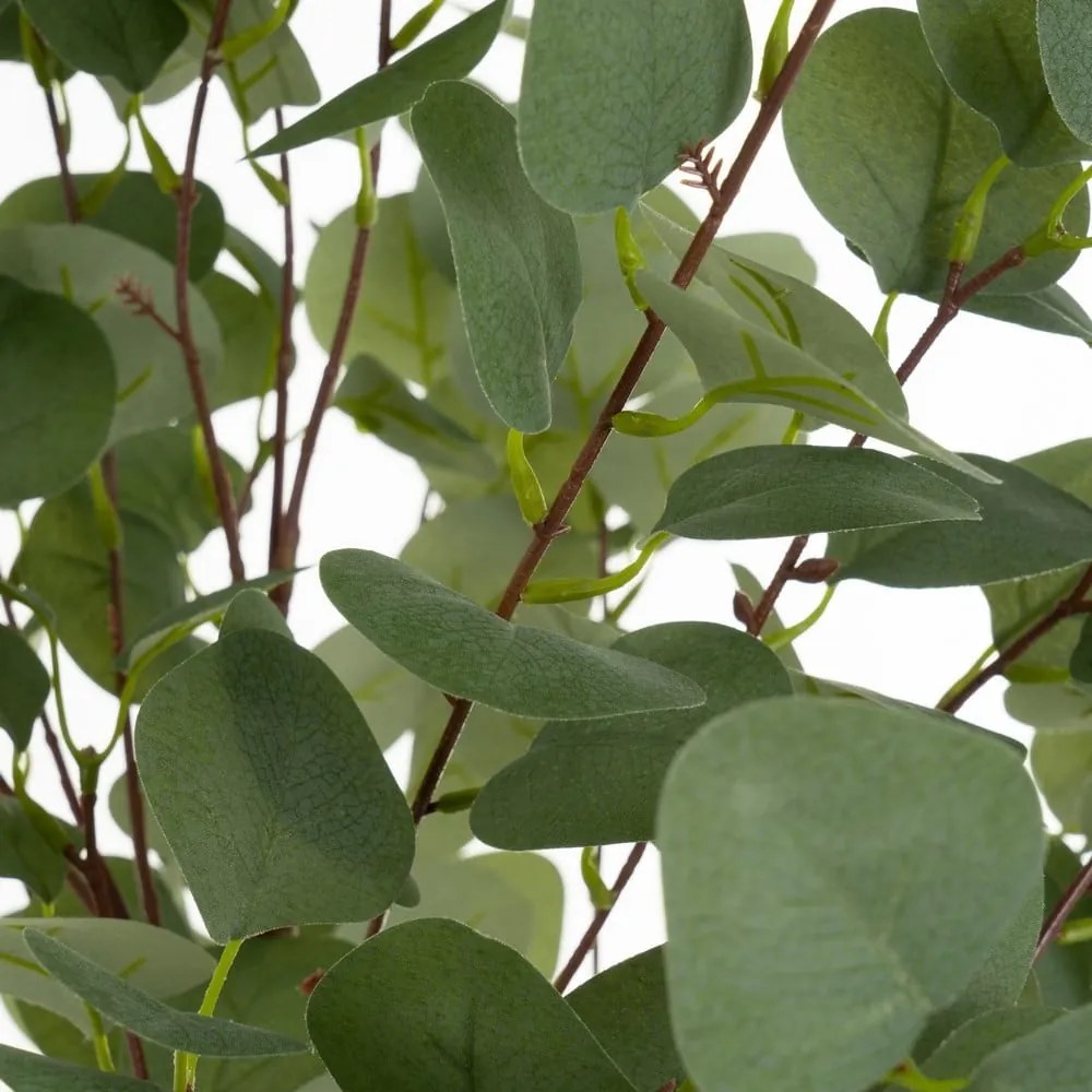 Sztuczny kwiat Eucalyptus – Casa Selección