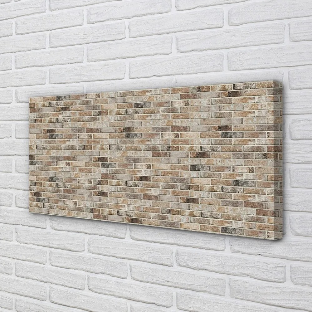 Obraz na płótnie Estetyka Starych Cegieł