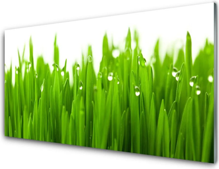 Panel Kuchenny Soczysta Zieleń Polany