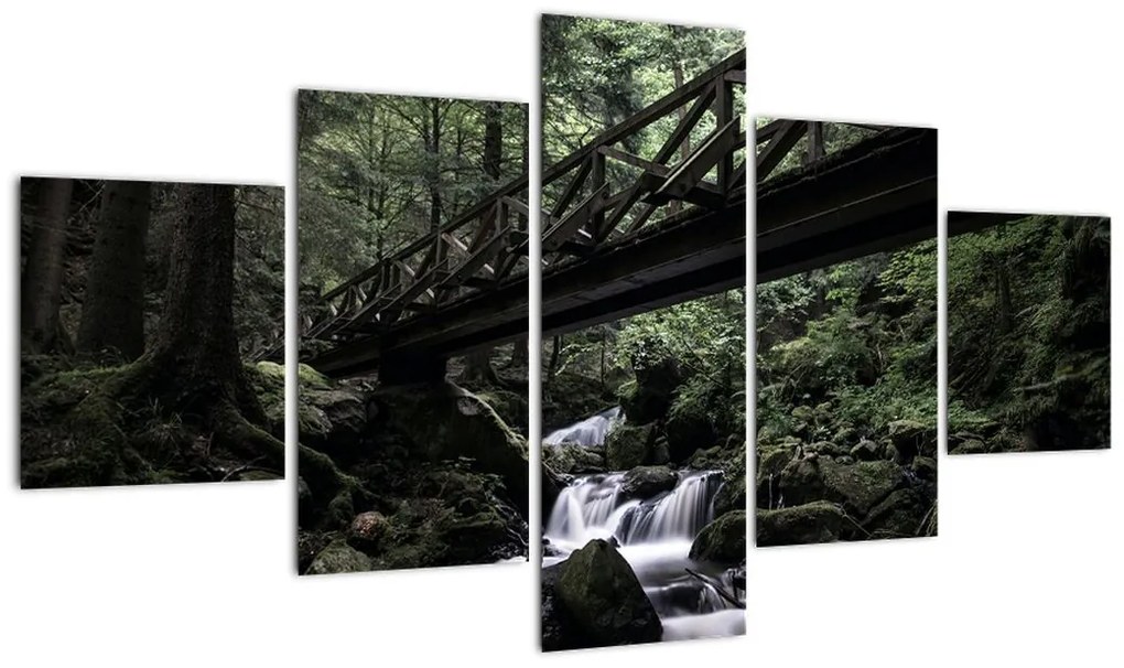 Obraz z czarnego lasu (125x70 cm)