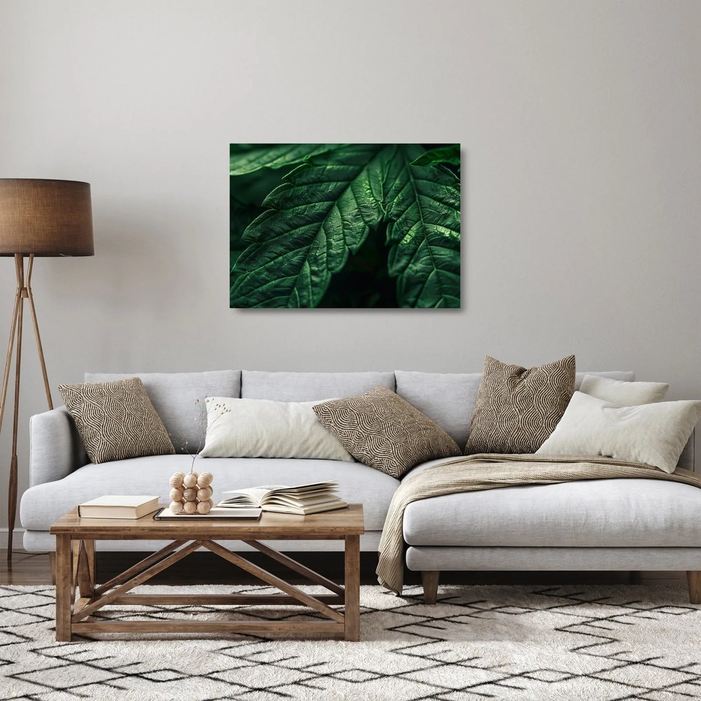 Obraz na szkle - Szczegół arkusza (70x50 cm)