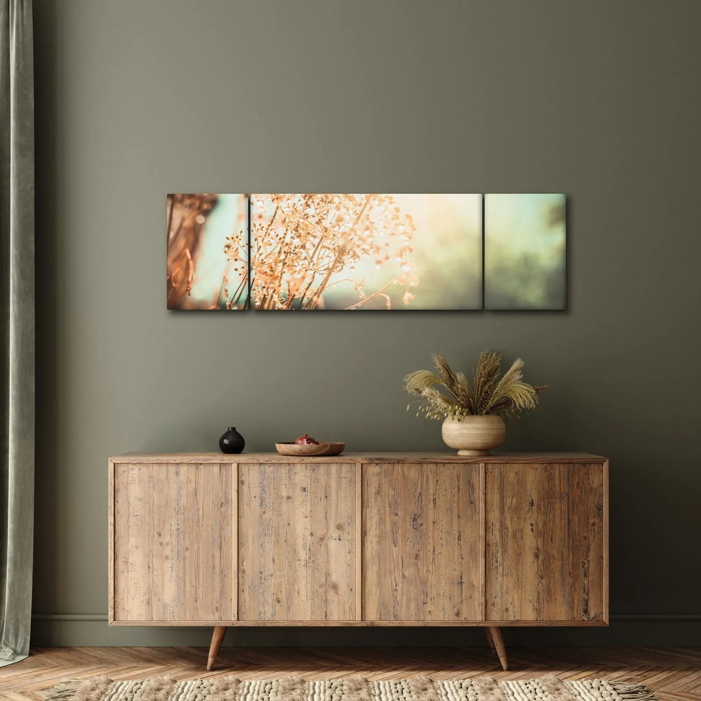 Obraz - Rośliny łąkowe (170x50 cm)