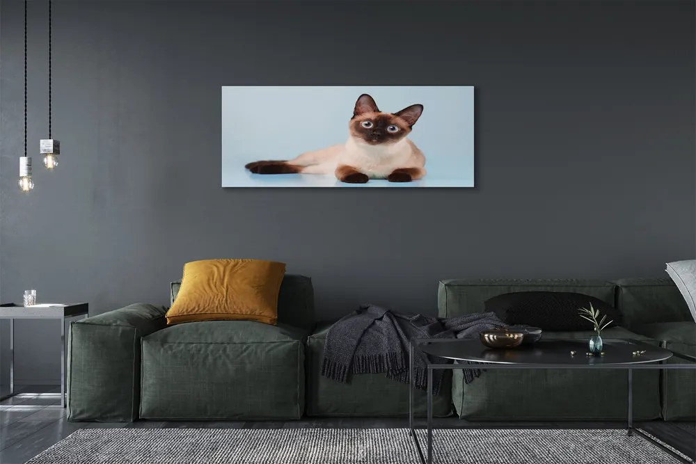 Zdjęcie na płótnie Odpoczywający Kot