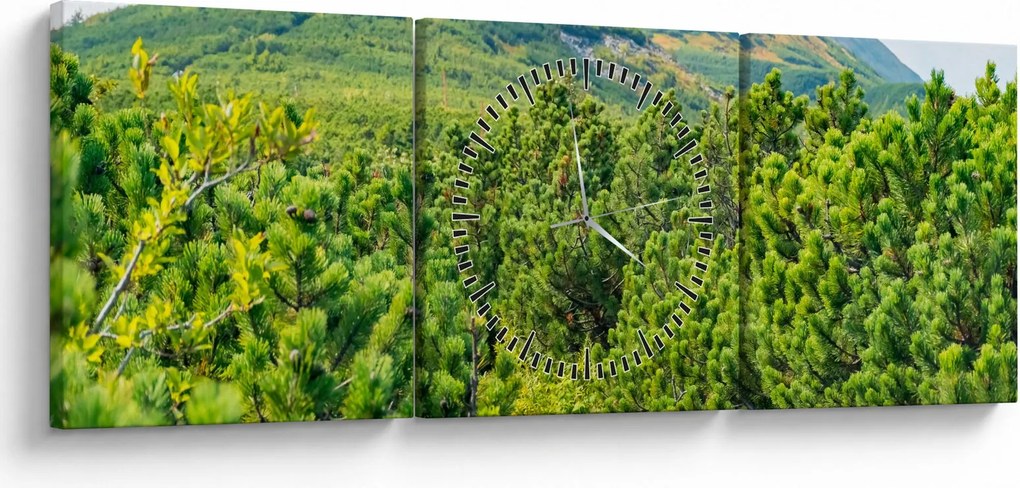 Obraz - Babia Góra, Polska (z zegarem) (90x30 cm)