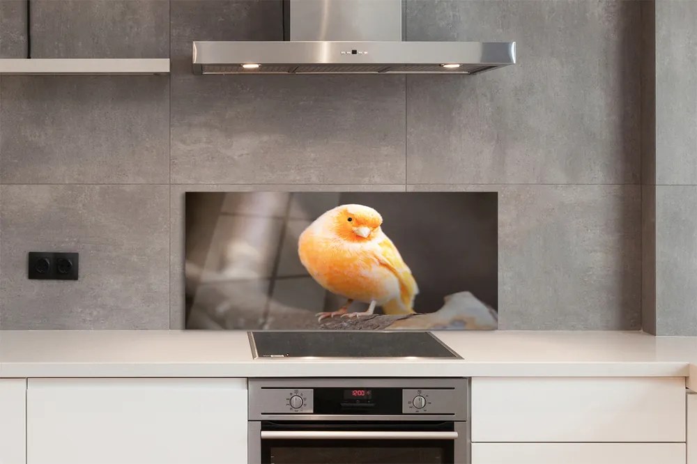 Panel szklany do Kuchni Papuga na Suchej Gałęzi