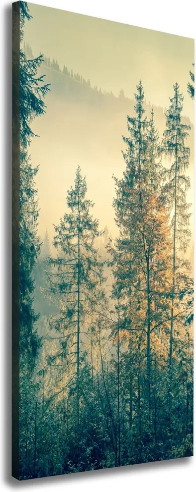 Foto obraz na płótnie pionowy Mgła nad lasem