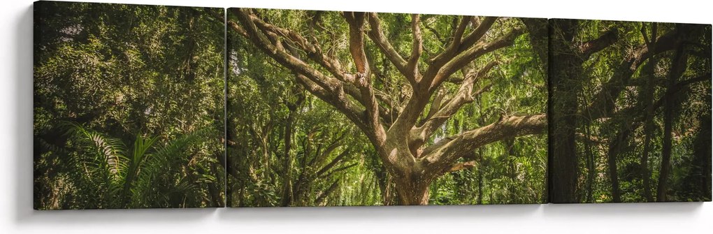 Obraz drzewa (170x50 cm)