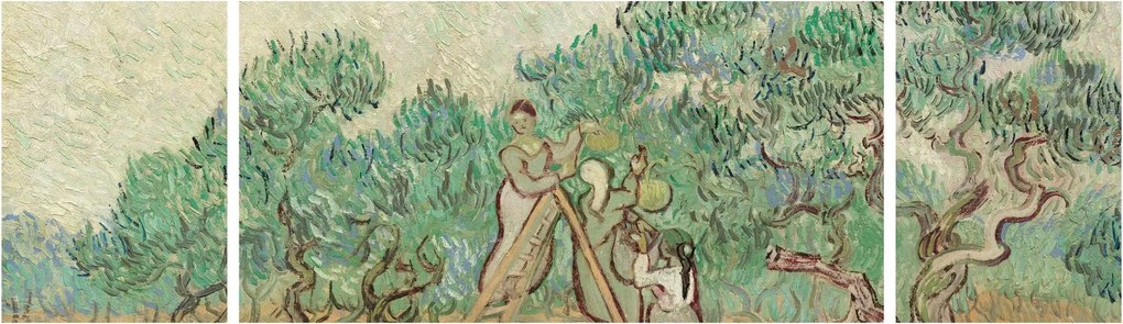 Obraz - Vincent van Gogh, The Olive Orchard, reprodukcje (170x50 cm)