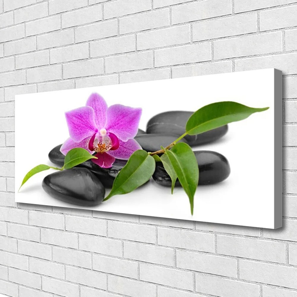 Obraz canvas Orchidea w Nowoczesnym Wydaniu