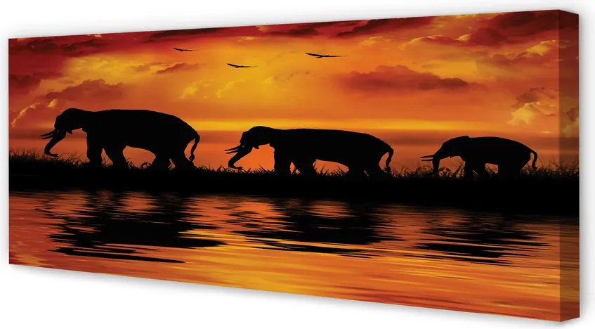 Zdjęcie na płótnie Słonie nad Jeziorem o Zachodzie