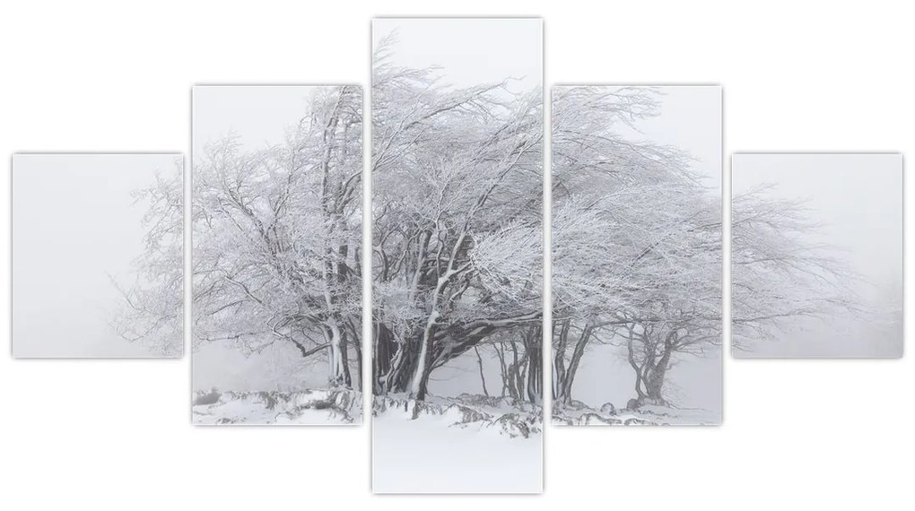 Obraz - Biała zima (125x70 cm)