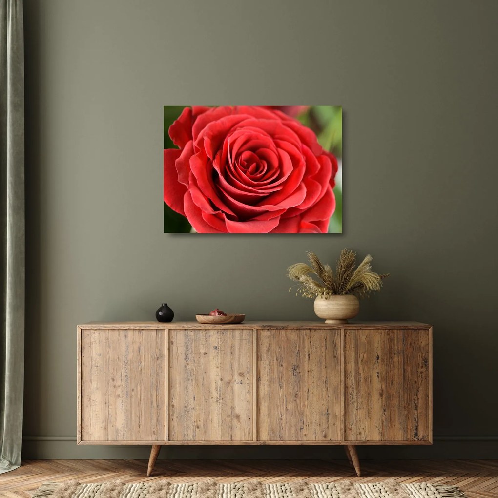 Obraz na szkle kwiatu róży (70x50 cm)