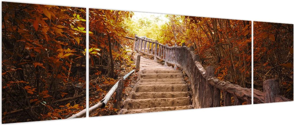Obraz - Schody w naturze jesienią (170x50 cm)