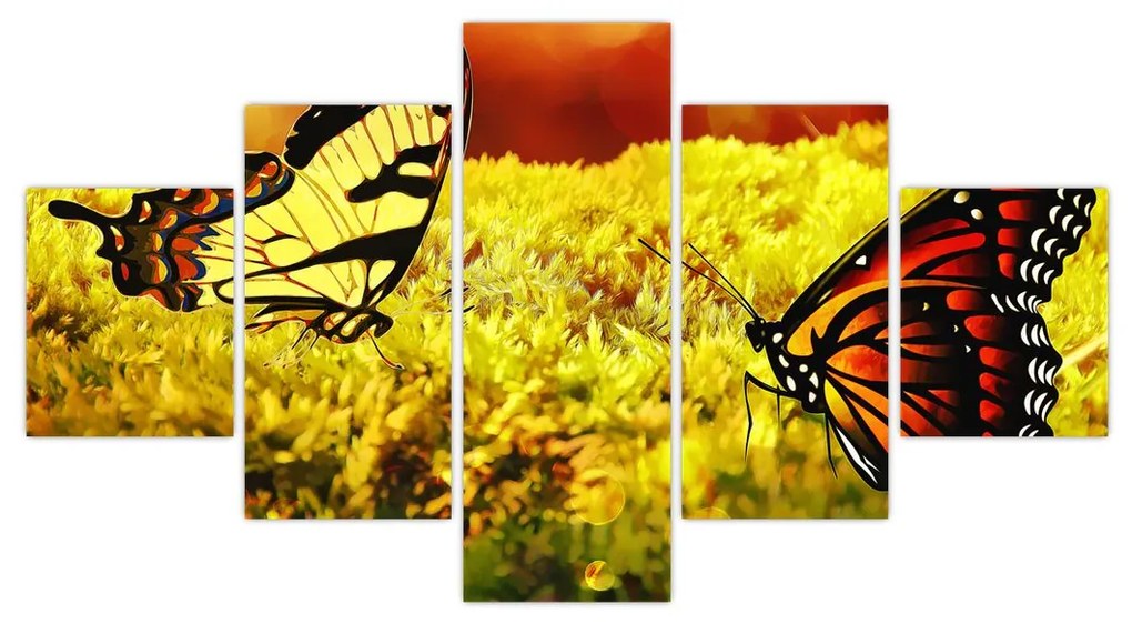 Obraz motyli (125x70 cm)