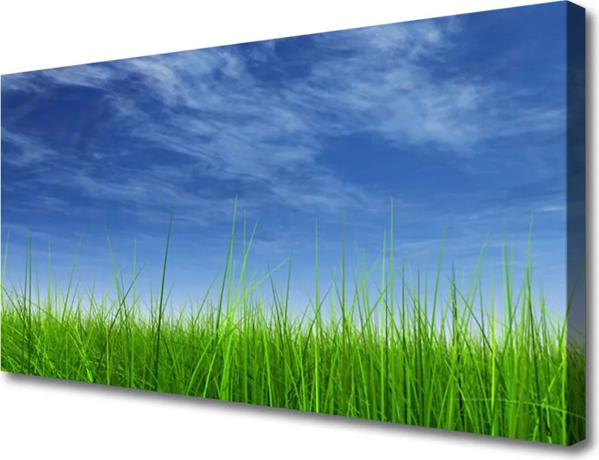 Obraz na płótnie Horyzont nad Zieloną Łąką