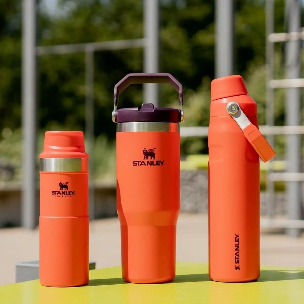 Butelka na wodę Stanley Aerolight IceFlow FastFlow 600 ml Tigerlily