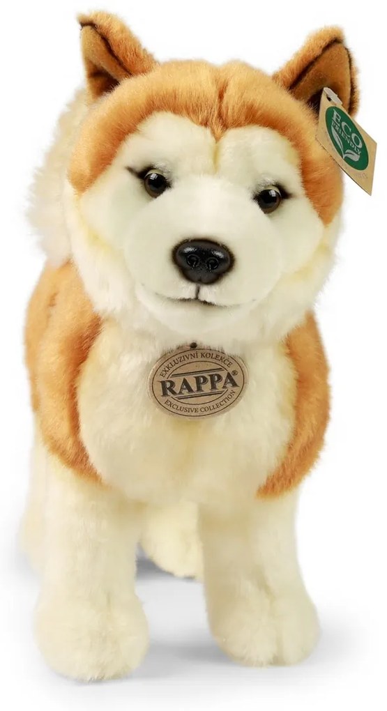 Rappa Pluszowy pies Akita Inu 30 cm