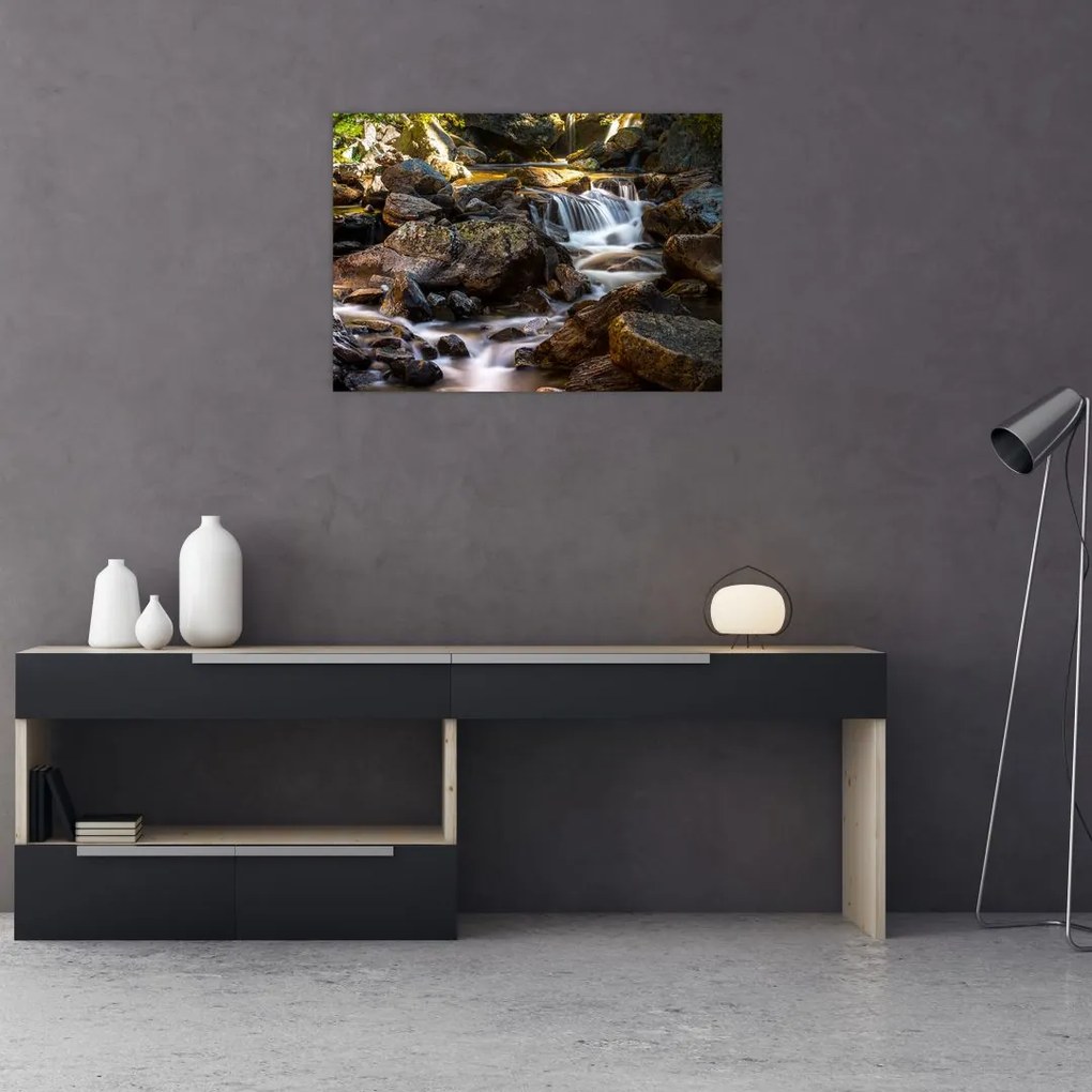 Obraz na szkle skalistego strumienia (70x50 cm)