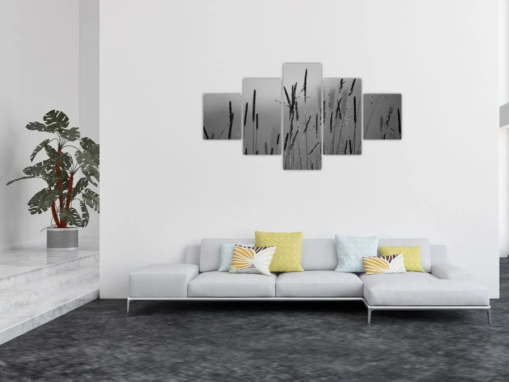Obraz - źdźbła trawy (125x70 cm)