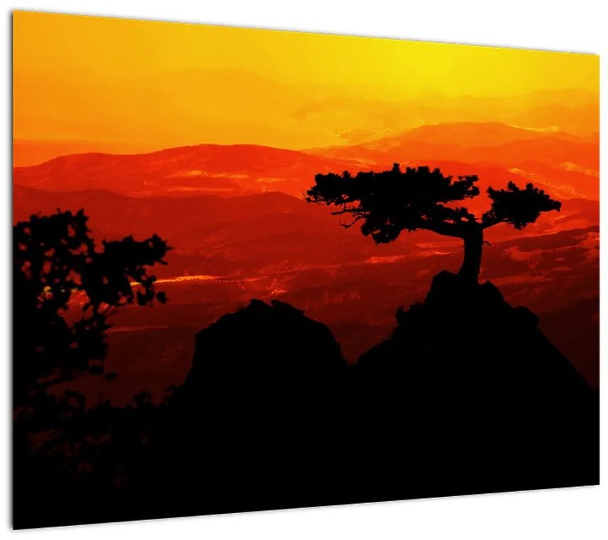 Obraz - Zachód słońca (70x50 cm)