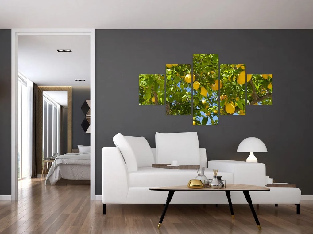 Obraz - Drzewo cytrynowe (125x70 cm)