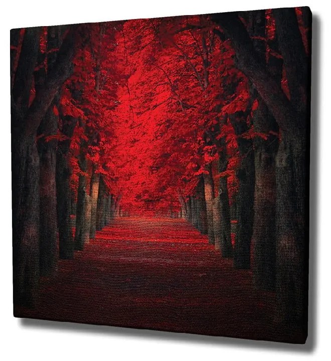 Obraz na płótnie Red Trees, 45x45 cm