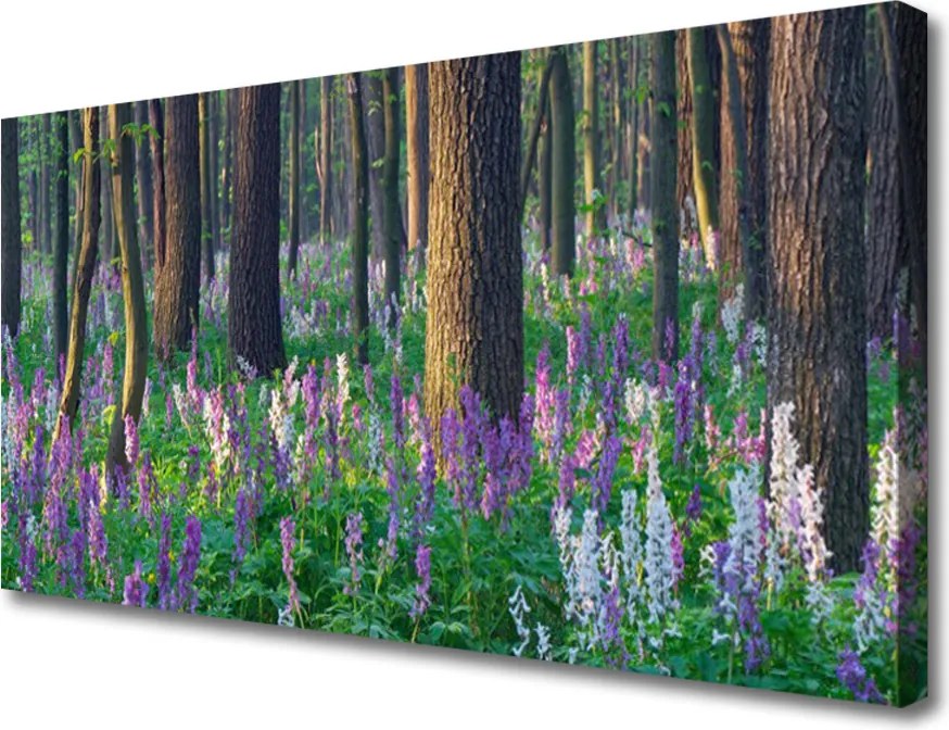 Zdjęcie na płótnie Korony Leśnych Drzew