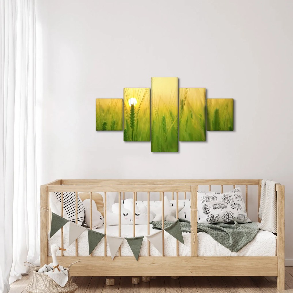 Obraz pola ze zbożem (125x70 cm)