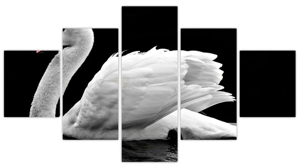 Obraz czarno - białego łabędzia (125x70 cm)