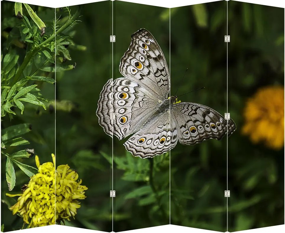 Parawan - Biały motyl (210x170 cm)