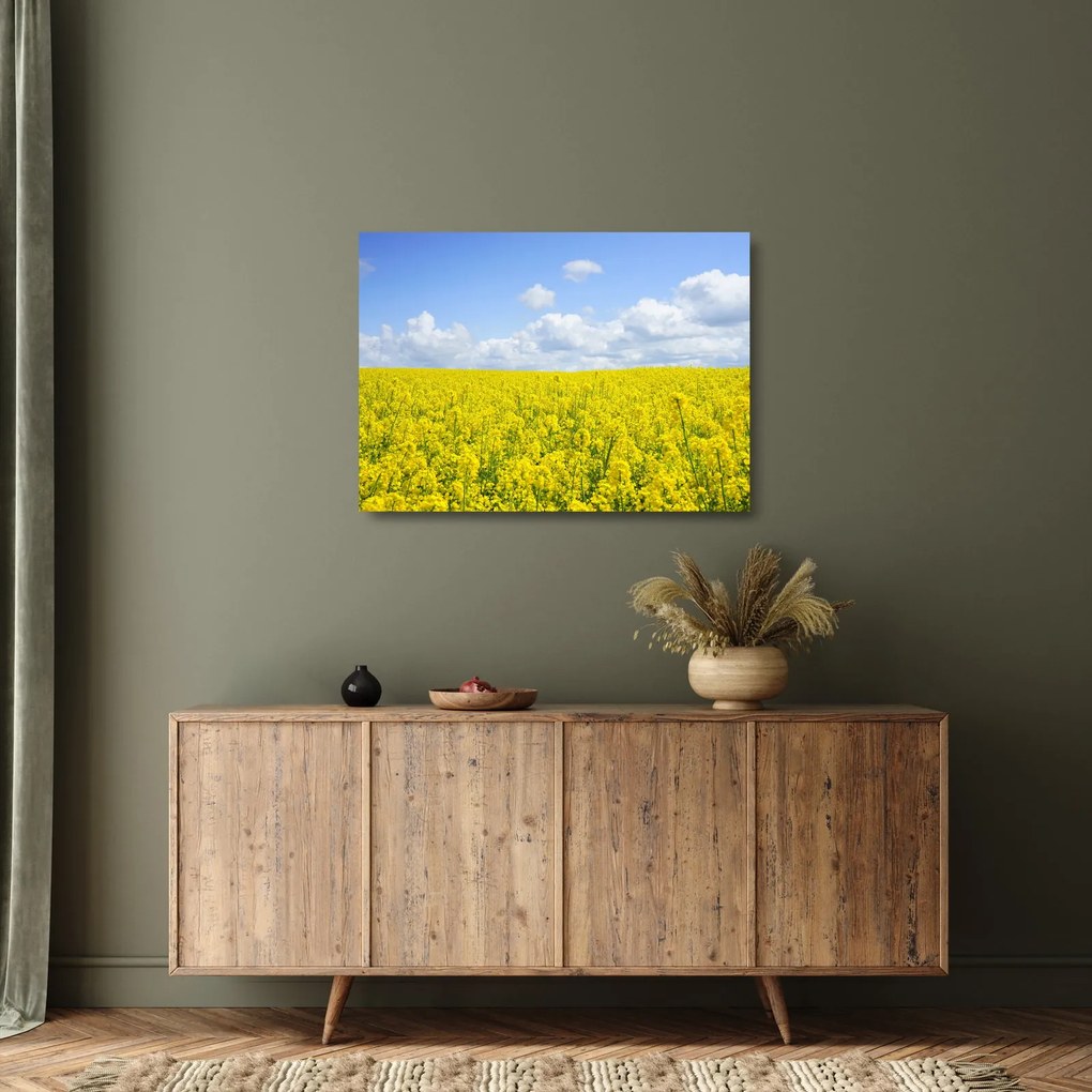 Obraz na szkle żółtego pola (70x50 cm)