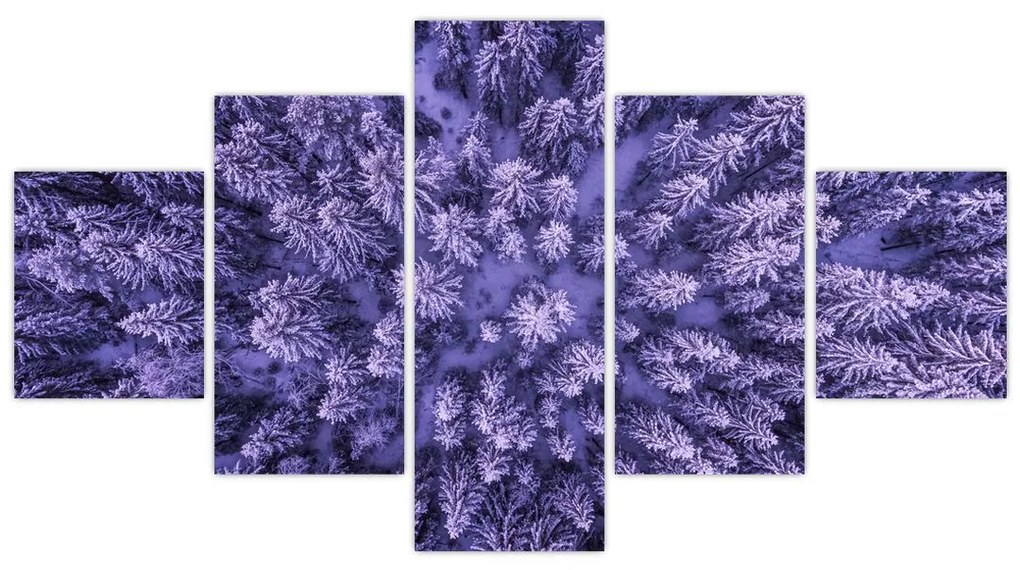 Obraz ośnieżonych drzew (125x70 cm)