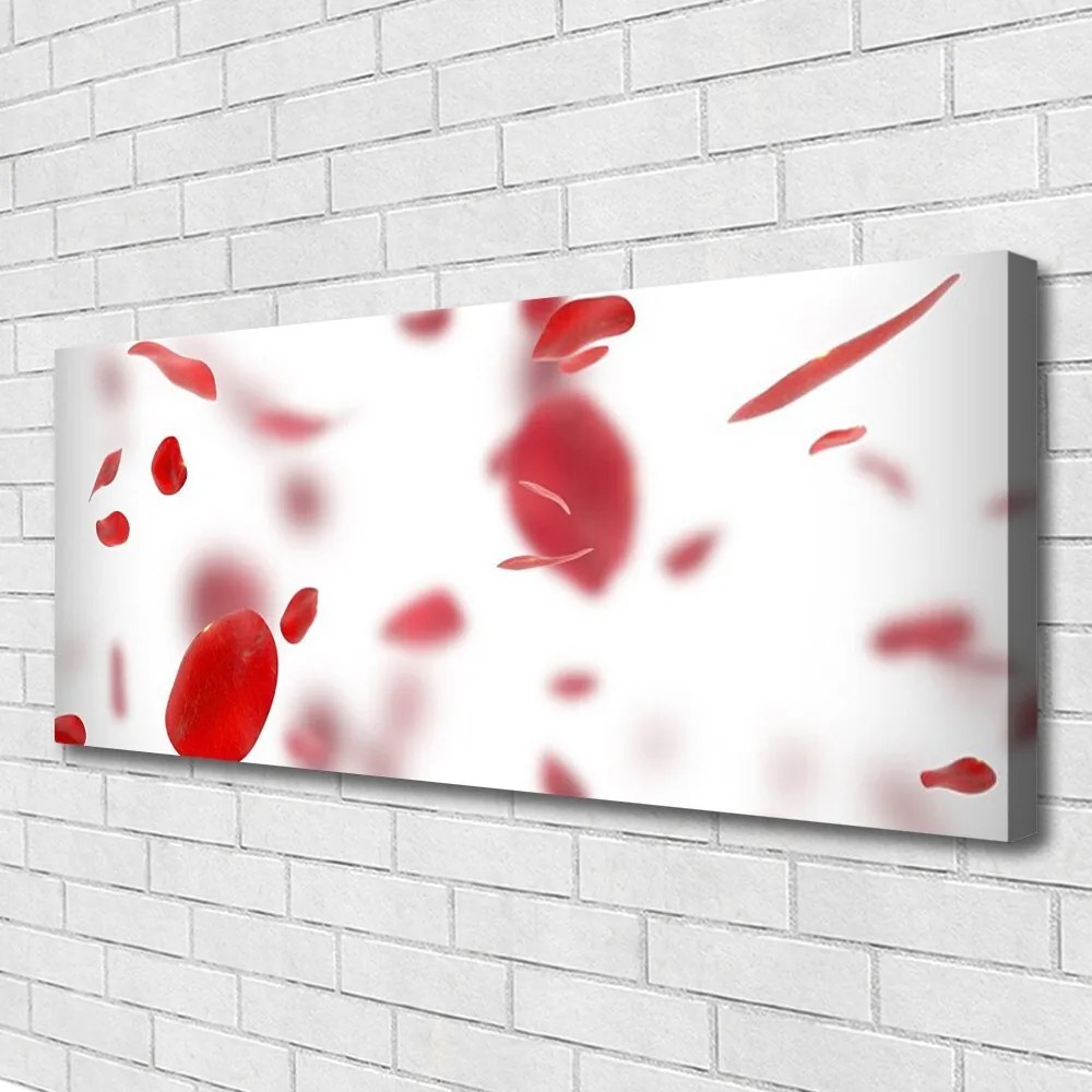 Obraz na płótnie Delikatność Płatków Róży