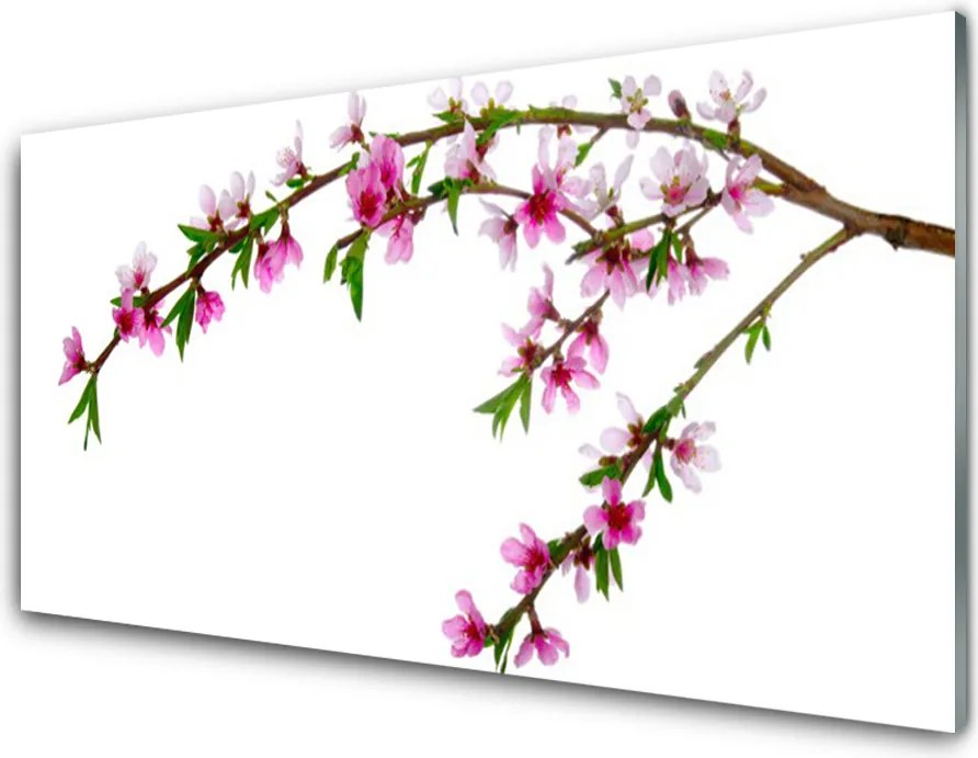 Panel Kuchenny Kwitnąca Gałązka Jabłoni