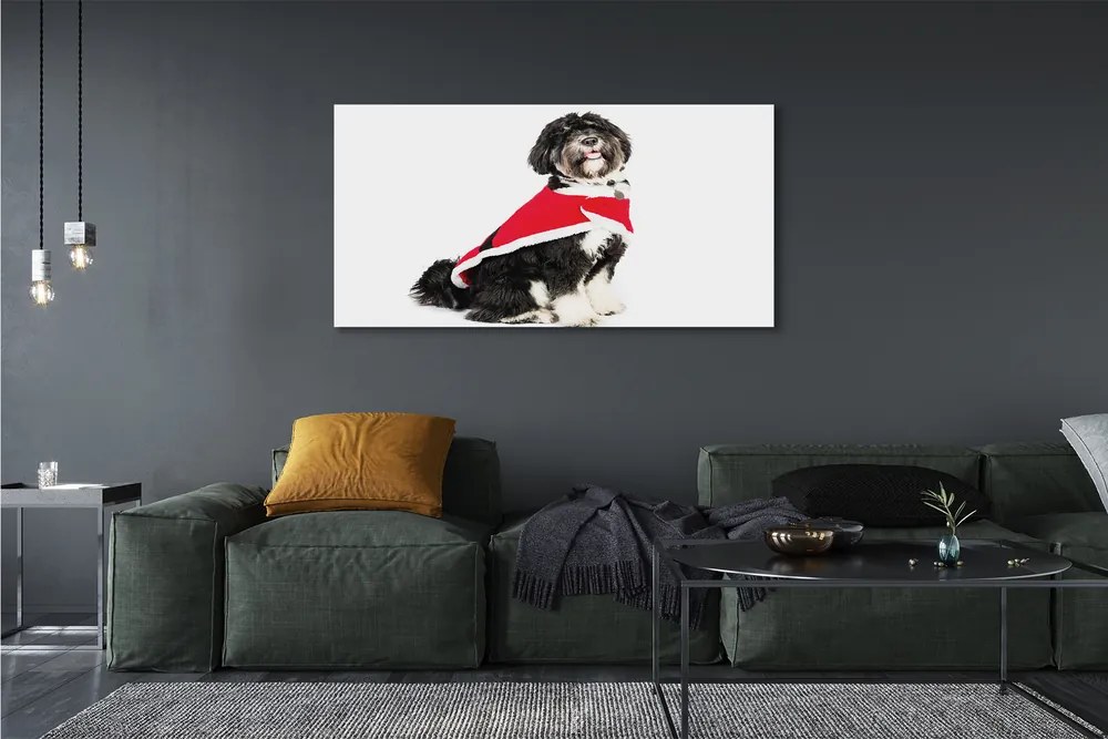 Obraz na płótnie Wierny Pies