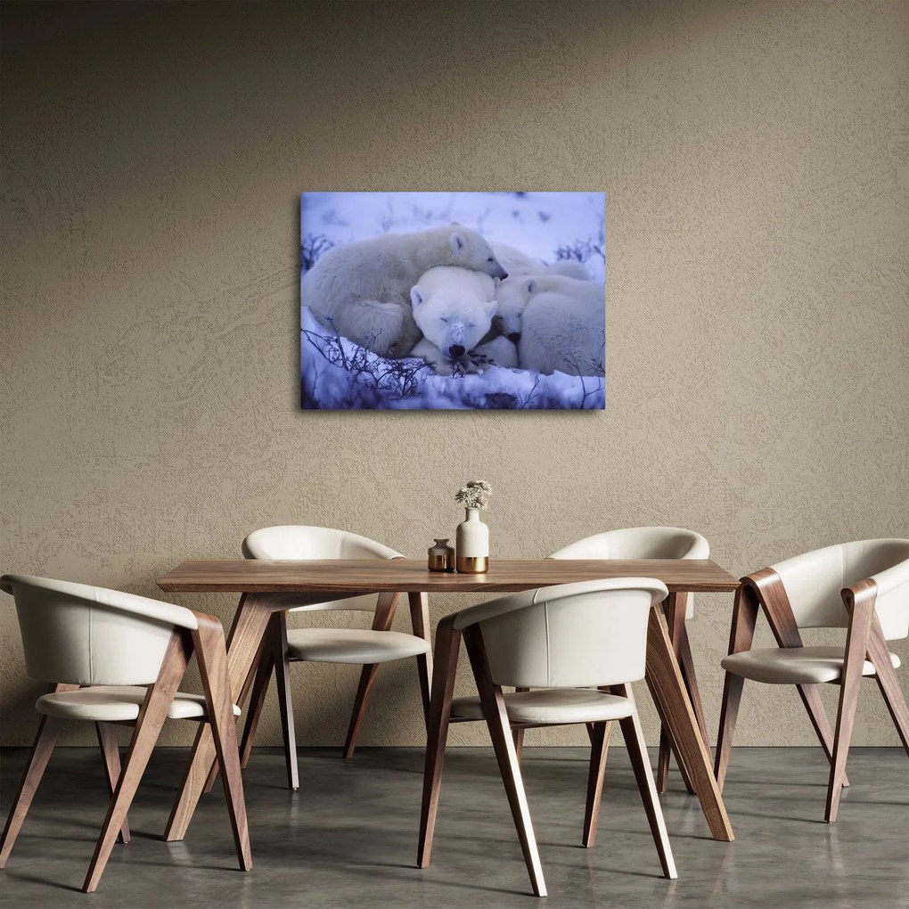 Obraz - Niedźwiadki polarne (70x50 cm)