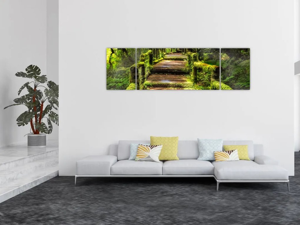 Obraz schodów w deszczowym pralesie (170x50 cm)