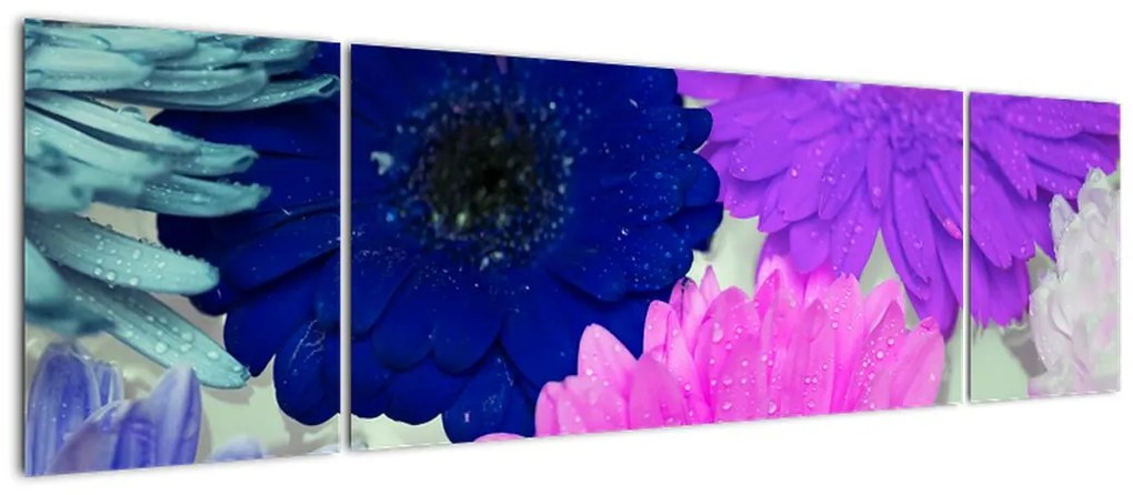 Obraz kolorowych kwiatów (170x50 cm)
