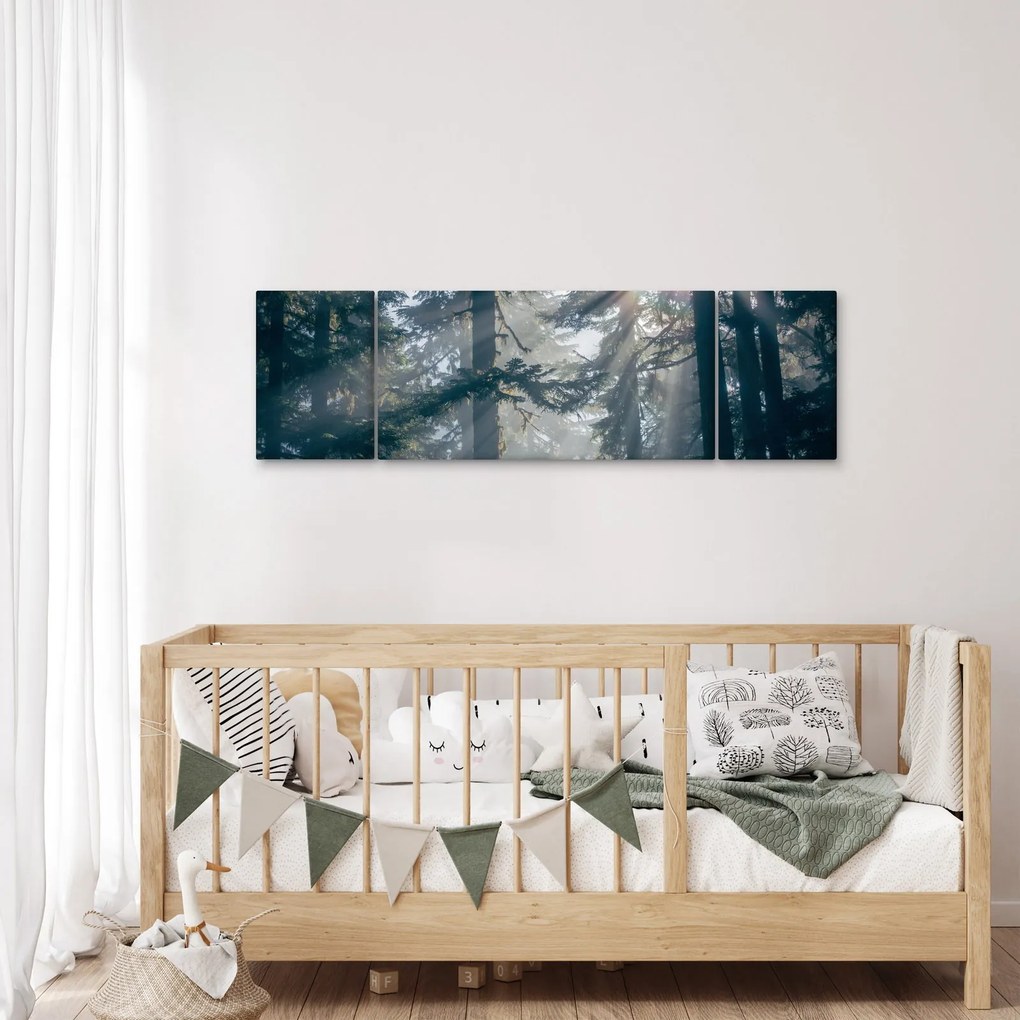 Obraz drzew, przez które prześwieca słońce (170x50 cm)
