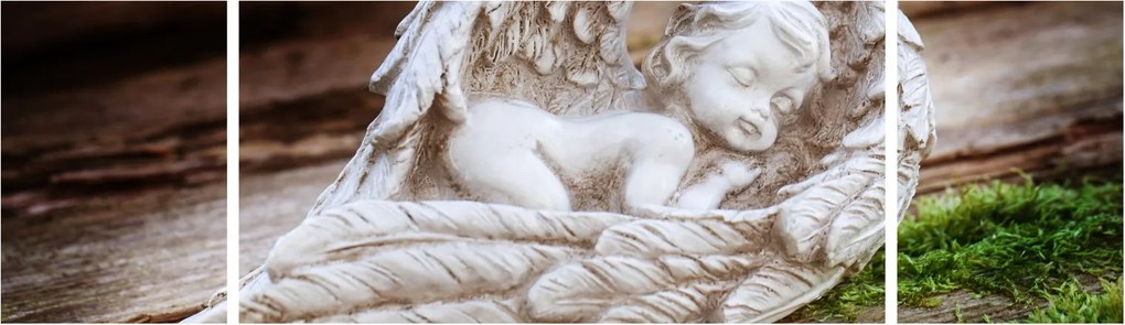 Obraz - Śpiący anioł (170x50 cm)