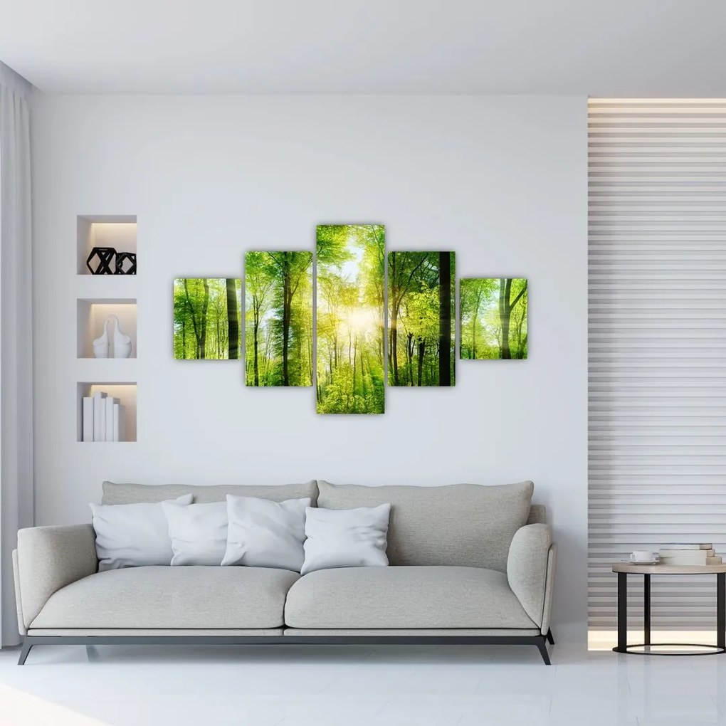 Obraz - Świt w lesie (125x70 cm)
