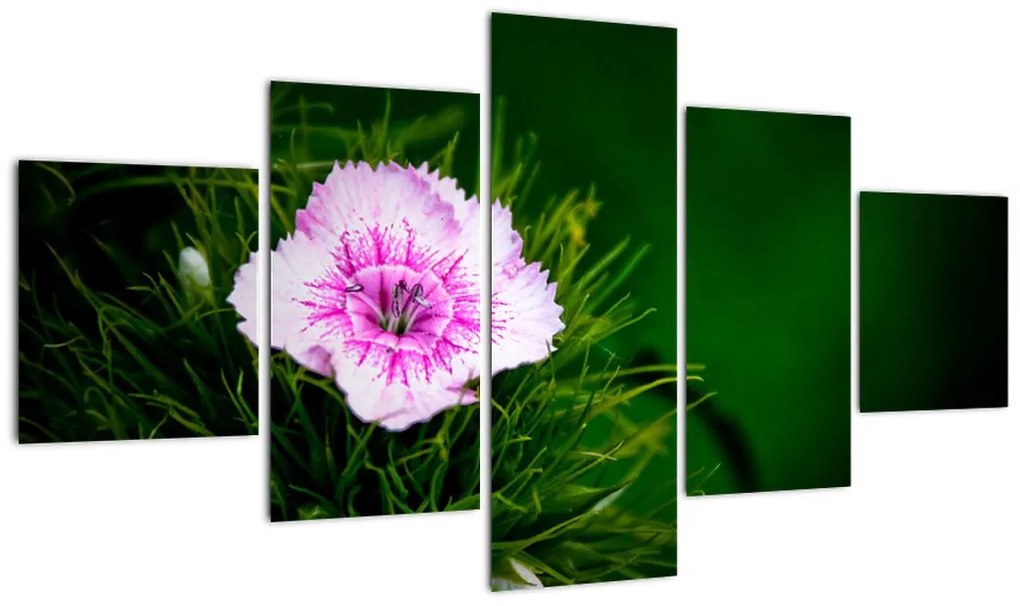 Obraz kwiatu róży (125x70 cm)