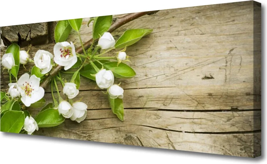 Obraz na płótnie Pastelowa Kompozycja Roślinna